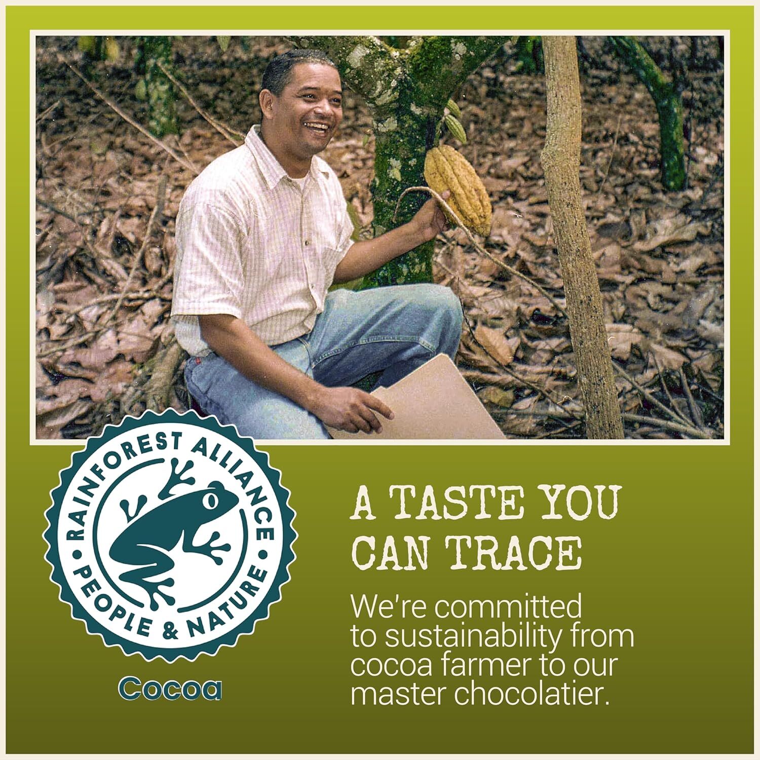 Chocolove Ginger Dark Chocolate Bars | 65% Cocoa | Infused with Crystalized Ging