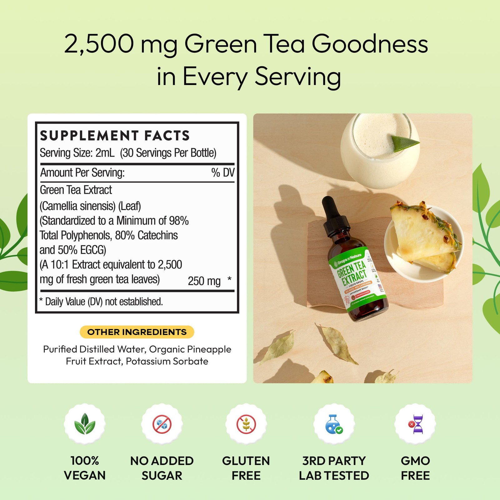 Green Tea 10:1 Extract 50% EGCG – Green Tea Liquid Drops – Vegan, 4X More Pow…