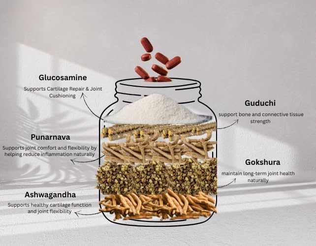 A.naysha Pharma Glucosamine MSM Joint Support 60 Capsules