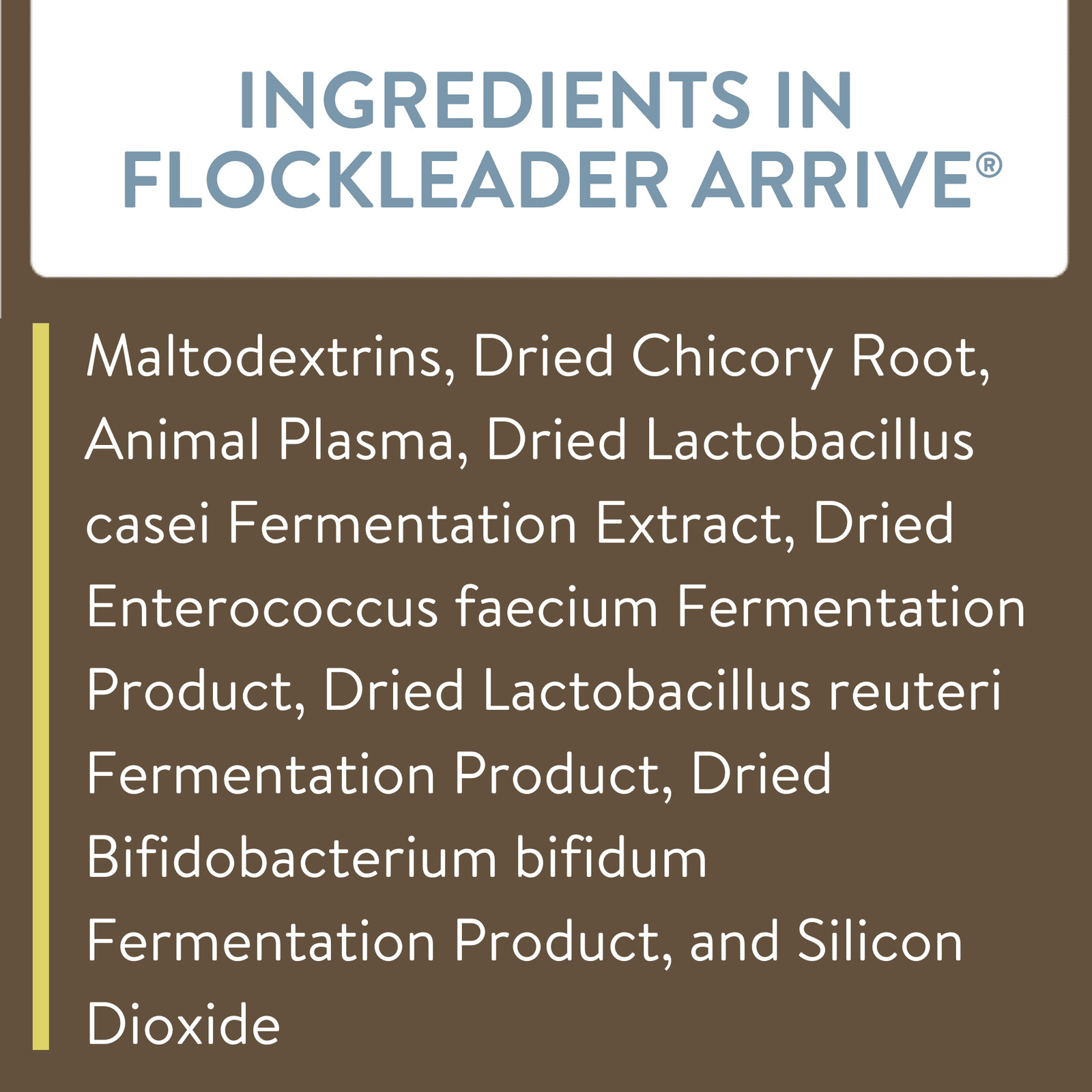 Arrive Chicken Supplement, 8 Ounce
