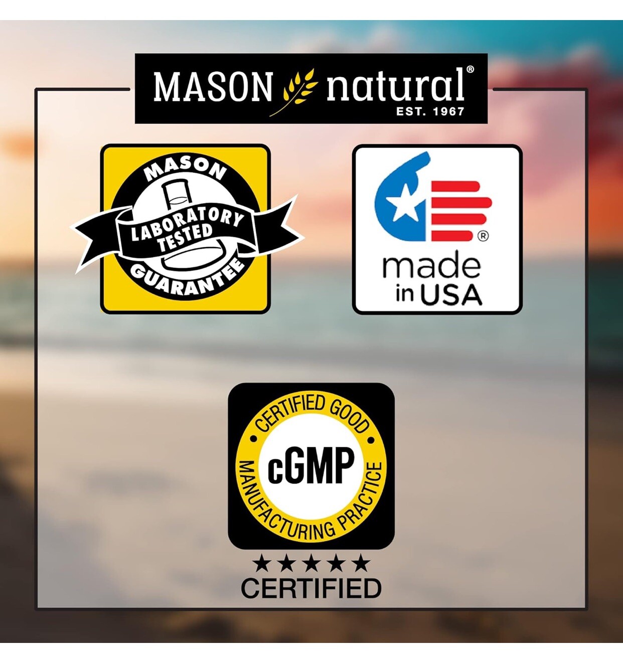 Mason Natural Slow Release Iron (Ferrous) 60 TabS High Potency – PACK OF 3 UNITS