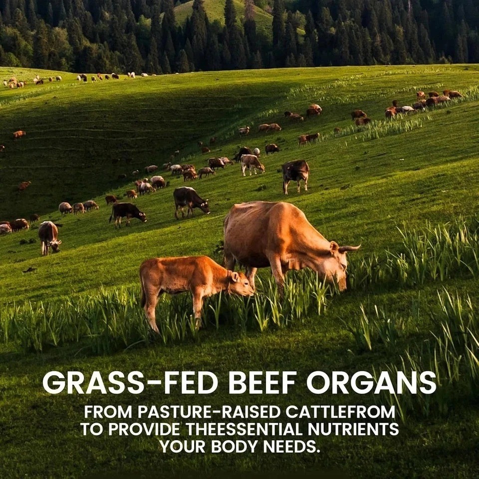 Forgebody Beef Organ Complex Supplement for Men Grass Fed Beef 120 Capsules ….