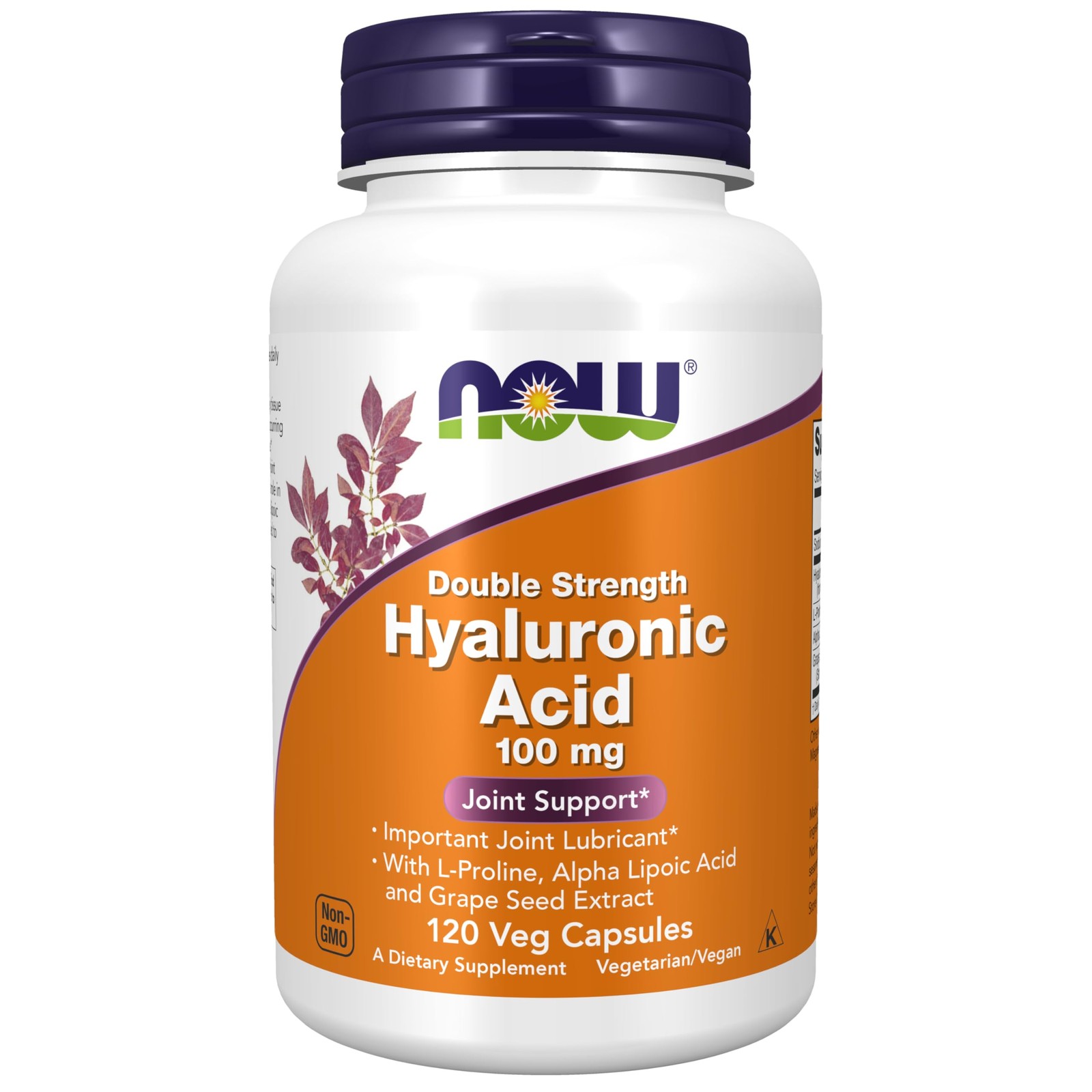 NOW Foods Supplements, 120 Count (Pack of 1), Cream/Beige W/Speckles