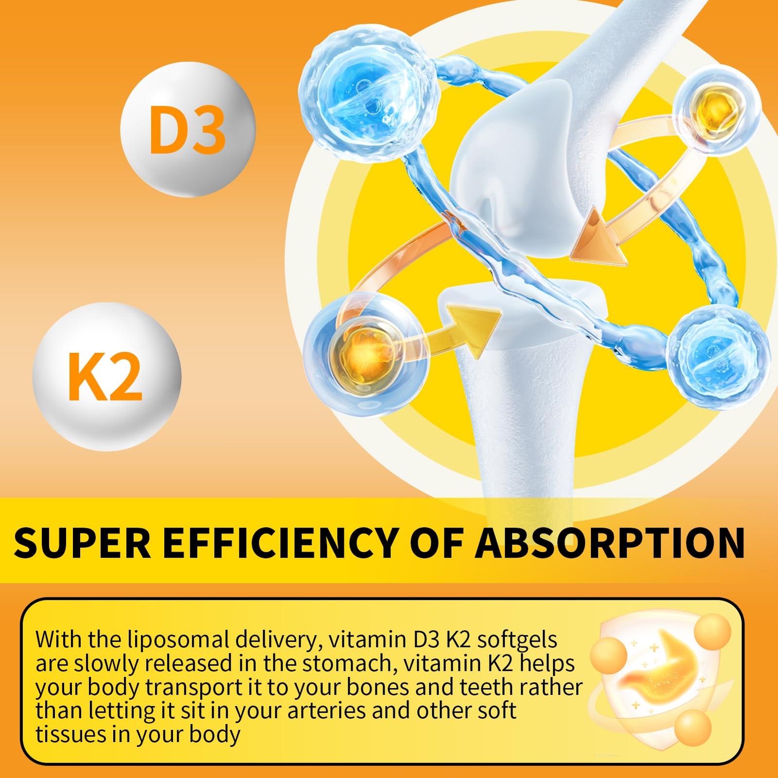 D3K2 capsules contribute to bone health cardiovascular protection and metabolism