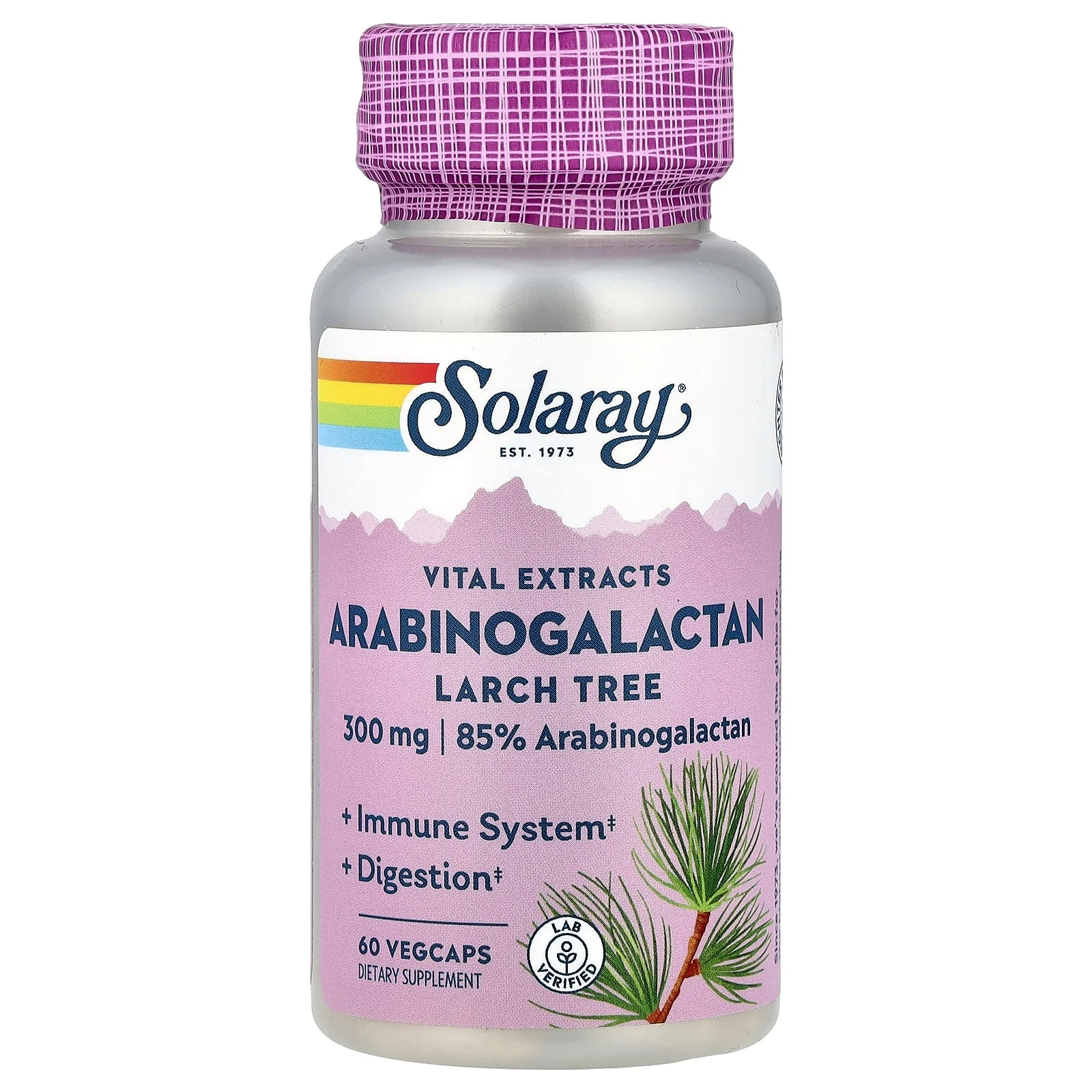2 X Solaray, Vital Extracts, Arabinogalactan, Larch Tree, 300 mg, 60 Vegcaps