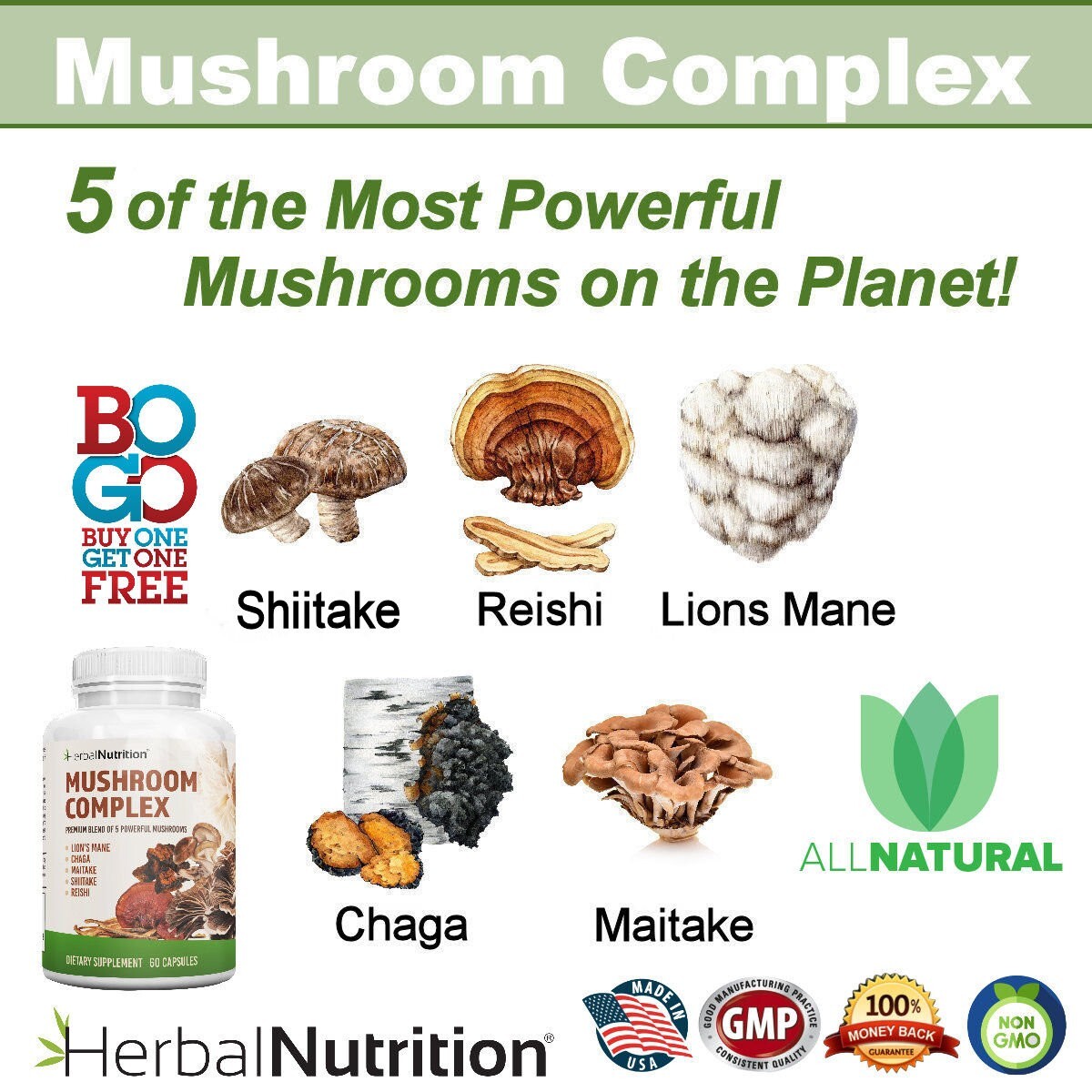 Three Pack – Mushroom Complex, Lions Mane, Reishi, Shiitake, Chaga, Maitake