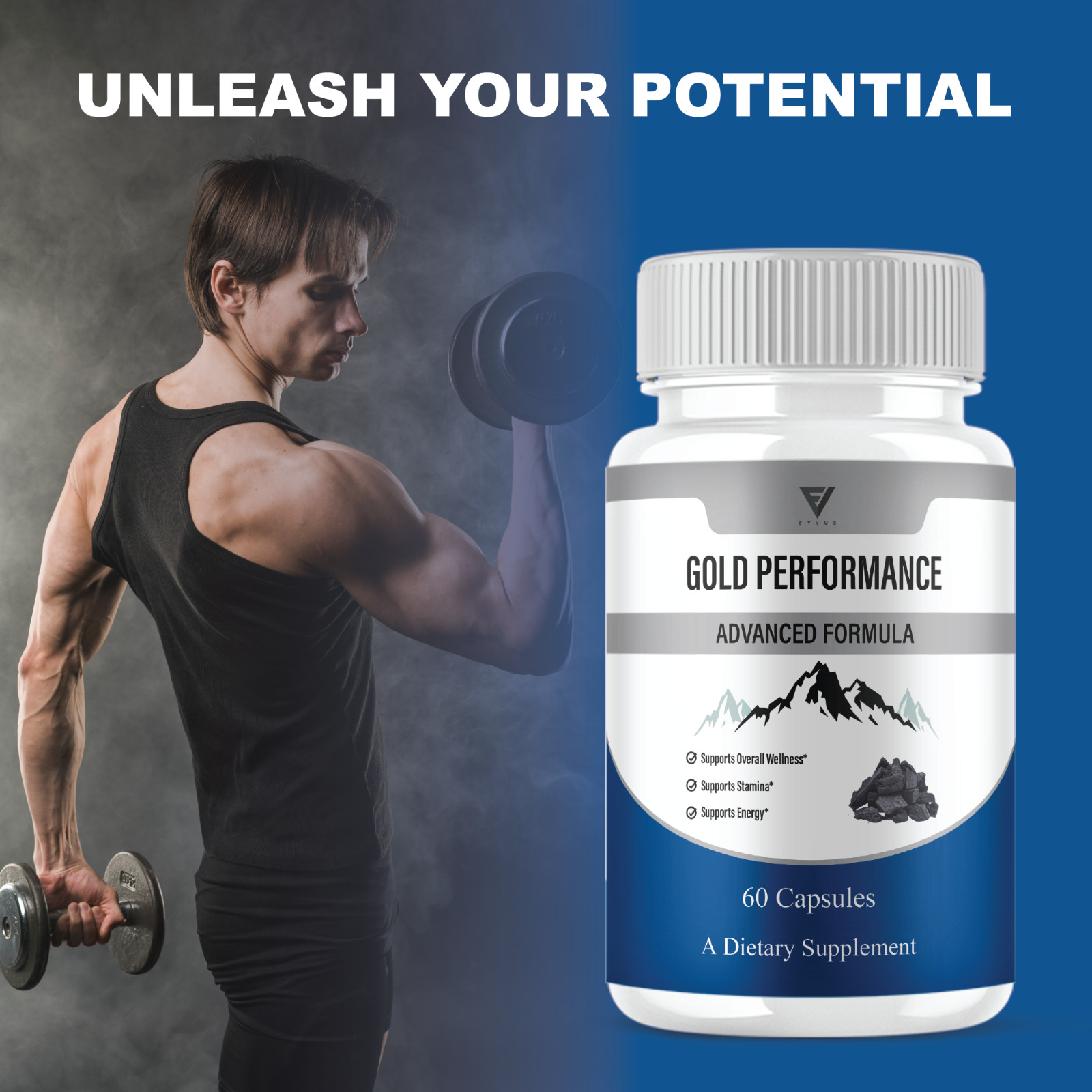 (2 Pack) Gold Performance Capsules, GoldPerformance Daily Formula (120 Capsules)