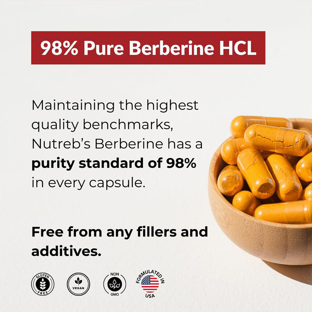 Berberine Supplement 1200 Mg Beneficial For Gut Health Antioxidants US