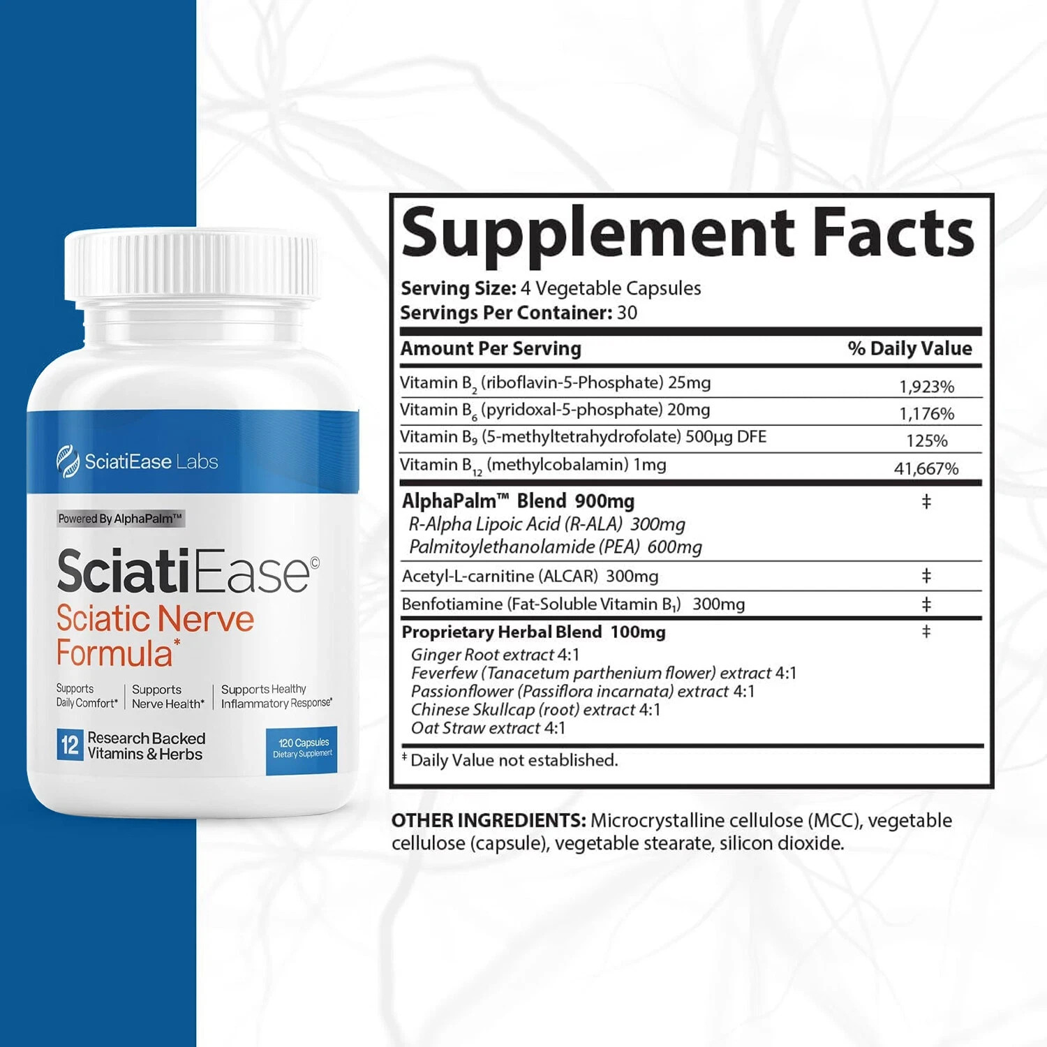 SciatiEase Labs Sciatic Ease Nerve Formula – Nervous System Health, Antioxidant