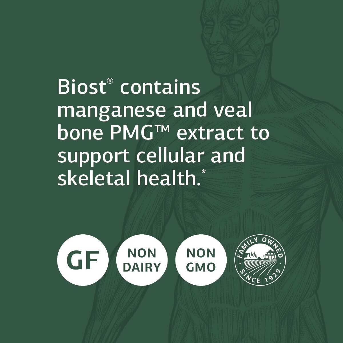 Standard Process Biost Teeth and Bone Health Supplement, 180 Tablets