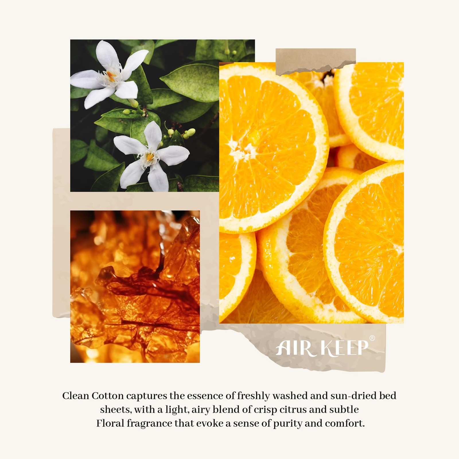 Airkeep Reed Diffuser Set,3.38 fl oz (100 ml) – Clean Cotton Oil Diffusers wi…