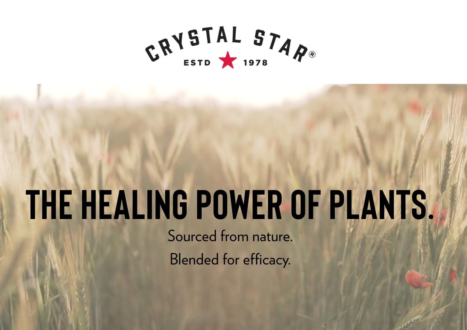 Crystal Star Fibro Defense 150 Capsules – Breast & Uterine Health Between Per…