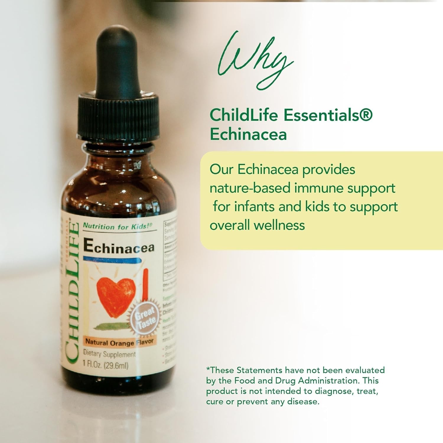 ChildLife Echinacea Natural Orange 1 fl. oz Each (Pack of 4)