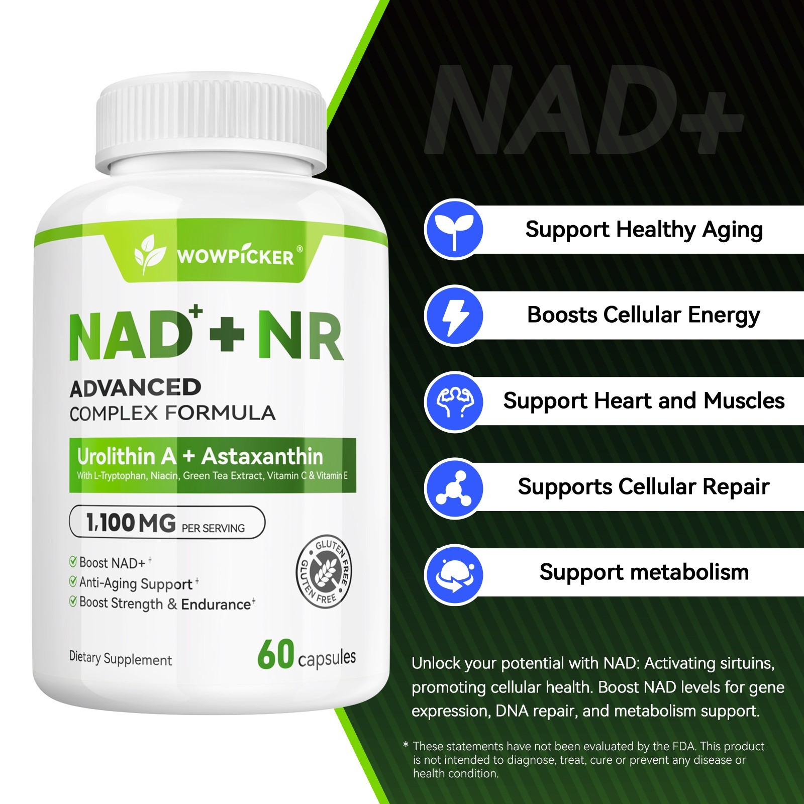 NAD Supplement with NR, 60 Capsules, Made in The USA – Support Energy