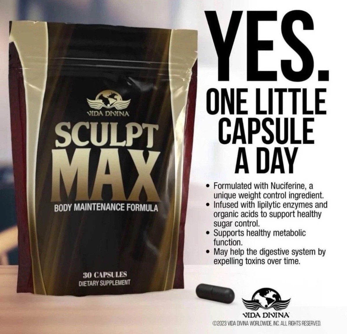 Vida Divina Sculpt Max. weight loss supplement
