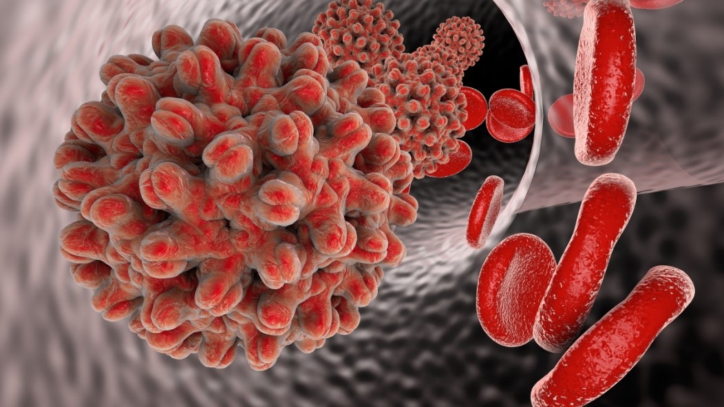 Le facteur le plus associé à la non-réalisation du test était le fait de ne pas savoir que le test de dépistage de l'hépatite B était disponible dans les formations sanitaires. 